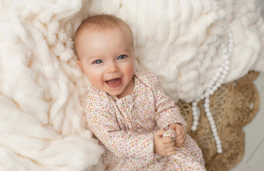 Toutes les Collections