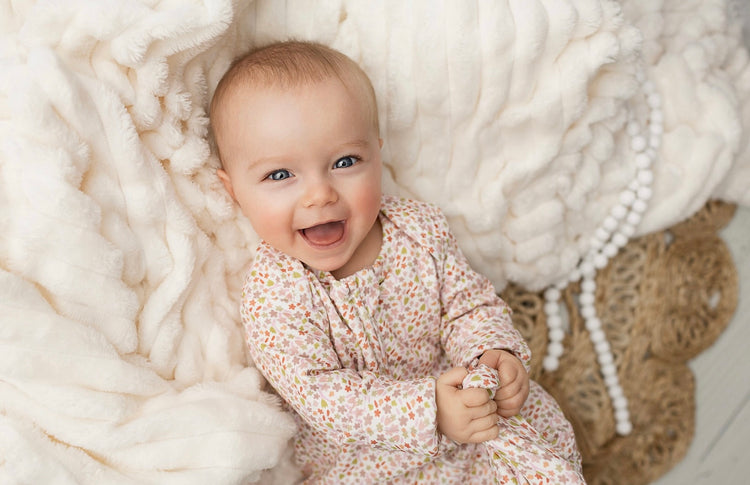 Toutes les Collections