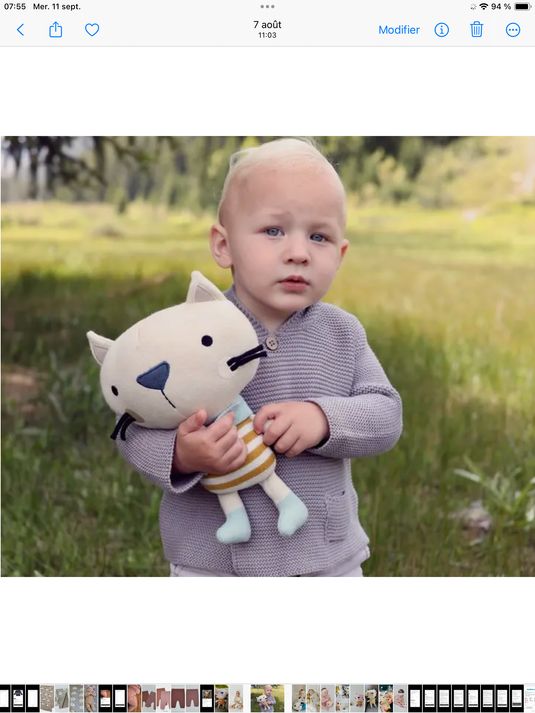 Peluche faite mains Rémi cat