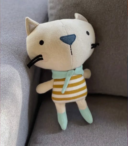 Rémi cat