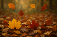 Feuilles 